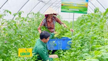 Nghệ An đẩy mạnh hỗ trợ phát triển nông nghiệp, quyết liệt xử lý các dự án chậm tiến độ