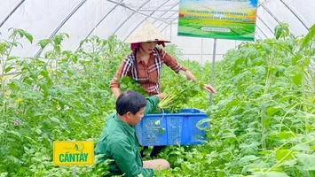 Nghệ An đẩy mạnh hỗ trợ phát triển nông nghiệp, quyết liệt xử lý các dự án chậm tiến độ