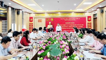 HĐND tỉnh Nghệ An triển khai chuyên đề giám sát đầu tiên nhiệm kỳ 2026 - 2031 về vận hành chính quyền địa phương 02 cấp