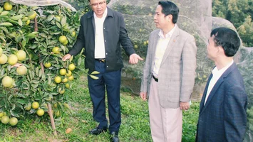 Chính sách nông nghiệp cần tạo động lực phát triển