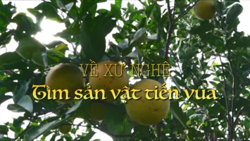 Về xứ Nghệ tìm sản vật tiến vua