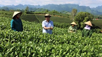 KHÁT VỌNG XANH TRÊN ĐẤT NGHÈO