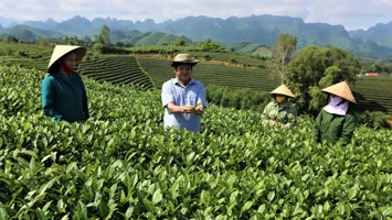 KHÁT VỌNG XANH TRÊN ĐẤT NGHÈO
