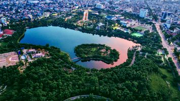 Rừng trong phố