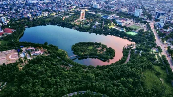 Rừng trong phố