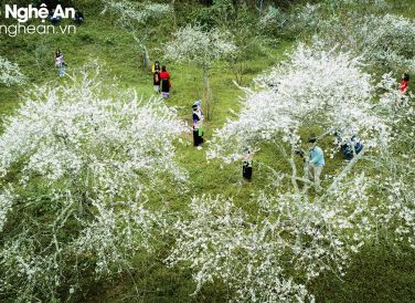 Ảnh: Hồ Nhật Thanh, Sách Nguyễn