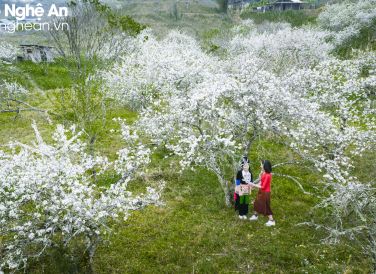 Ảnh: Hồ Nhật Thanh, Sách Nguyễn