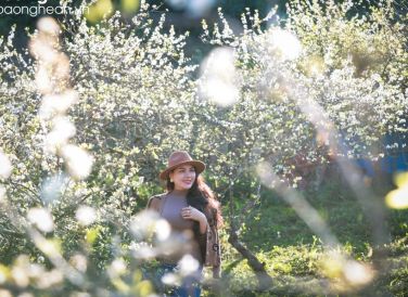 Du khách miền xuôi say mê với cảnh đẹp nơi đây. Ảnh: Sách Nguyễn
