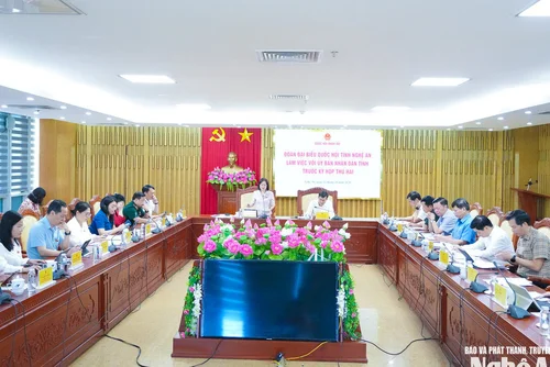 Nghệ An kiến nghị Quốc hội, Chính phủ tháo gỡ nhiều vướng mắc trong thực thi chính sách, pháp luật