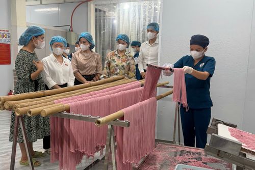 Đoàn ĐBQH tỉnh khảo sát việc thực hiện chính sách, pháp luật về phát triển khoa học, công nghệ và đổi mới sáng tạo tại Công ty cổ phần An An Agri