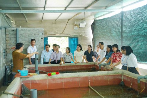 Giám sát thực thi chính sách an toàn thực phẩm tại xã Hợp Minh