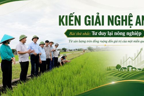 KIẾN GIẢI NGHỆ AN - Bài thứ nhất: Tư duy lại nông nghiệp