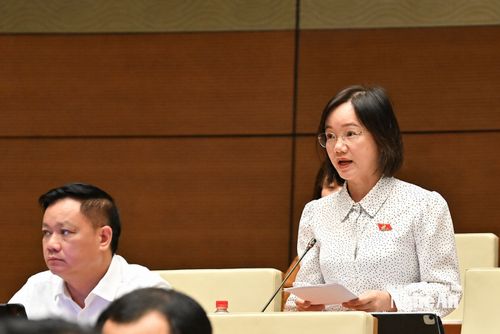 ĐBQH tỉnh Nghệ An đề nghị hoàn thiện quy định về trách nhiệm bồi thường của Nhà nước