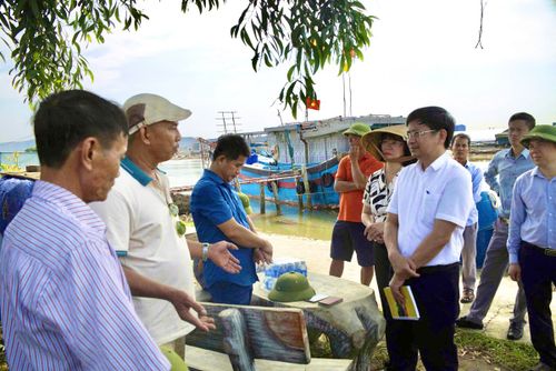 Đưa Nghị quyết của HĐND tỉnh vào cuộc sống: ghi nhận từ thực tiễn phường Tân Mai