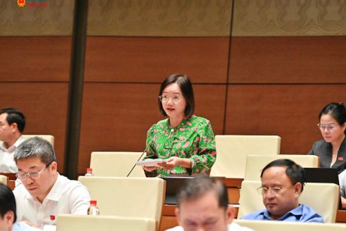 Hiệu quả thực tiễn là thước đo chất lượng lập pháp