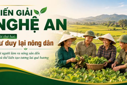 KIẾN GIẢI NGHỆ AN - Bài thứ hai: Tư duy lại nông dân