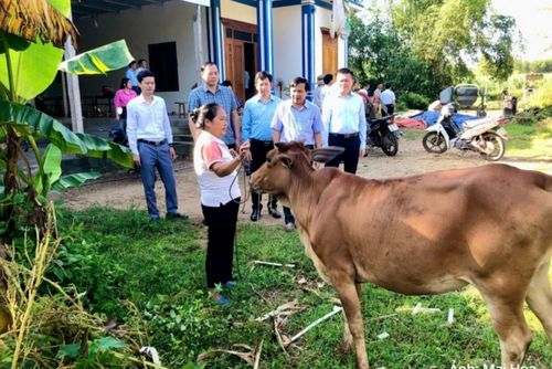 Đồng hành cùng người dân trước tình hình tăng giá vật tư nông nghiệp và phát triển các mô hình trang trại, vườn đồi