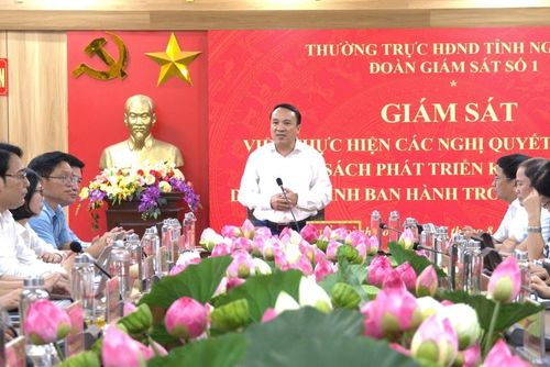 Đoàn giám sát số 1 của Thường trực HĐND tỉnh làm việc tại xã Anh Sơn