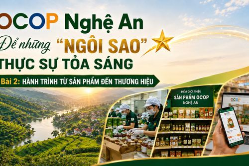 OCOP Nghệ An – Để những “ngôi sao” thực sự tỏa sáng - Bài 2: Hành trình từ sản phẩm đến thương hiệu