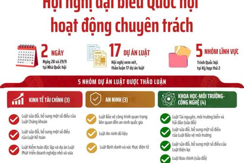 [Infographic] Hội nghị đại biểu Quốc hội hoạt động chuyên trách thứ nhất, nhiệm kỳ khóa XVI