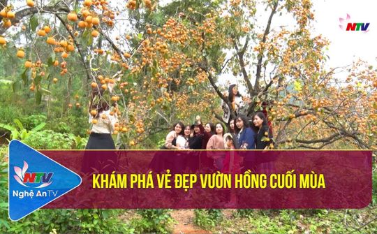 Khám phá vẻ đẹp vườn hồng cuối mùa