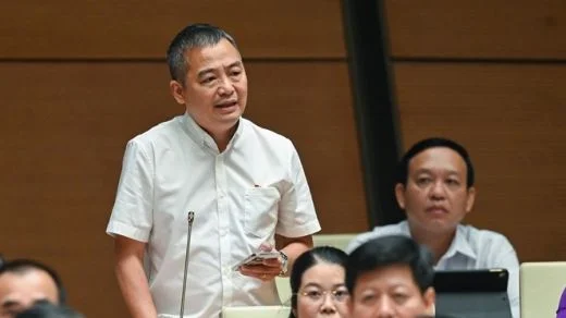 ĐBQH Nguyễn Lân Hiếu (Bình Định): Nên quy định Chính phủ bổ nhiệm người đứng đầu Hội đồng Y khoa