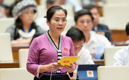 Đại biểu Võ Thị Minh Sinh – Đoàn ĐBQH tỉnh Nghệ An: Cần có quy định thống nhất về lập, quản lý các trang fanpage chính thống của các cơ quan Nhà nước