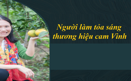 Hành trình đưa đặc sản cam Vinh ra thế giới