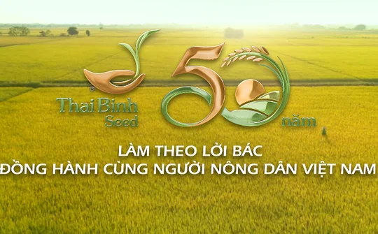ThaiBinh Seed: 50 năm đồng hành cùng người nông dân Việt Nam