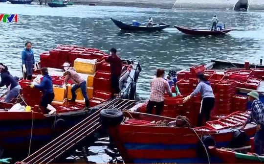 Rạng sáng ở bến cá Nghi Thủy - Thị xã Cửa Lò
