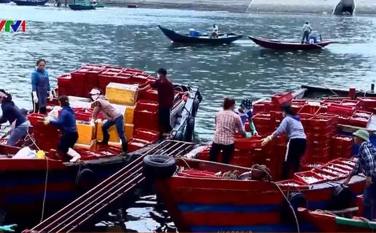 Rạng sáng ở bến cá Nghi Thủy - Thị xã Cửa Lò