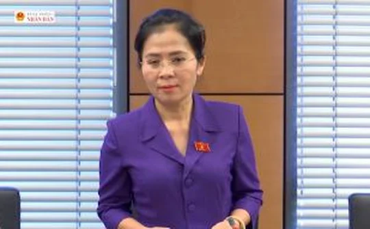ĐBQH Võ Thị Minh Sinh (Nghệ An): Nơi nào có quản lý thì nơi đó phải có thanh tra