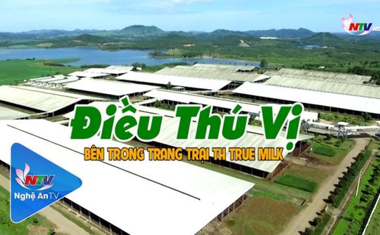 Điều thú vị bên trong trang trại TH