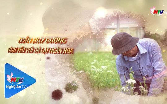 Người Nghệ muôn phương: Trần Huy Đường - Tình yêu với Đà Lạt ngàn hoa