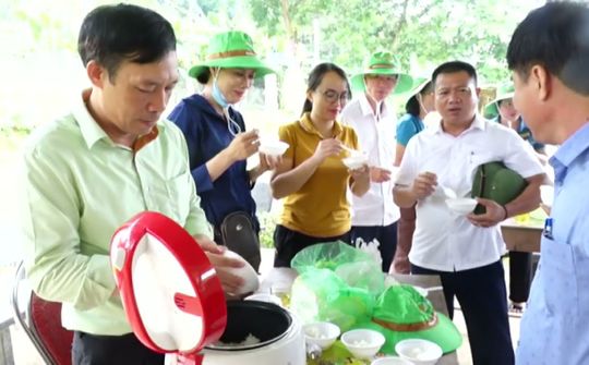 Con Cuông tổ chức hội thảo đầu bờ giống lúa thuần chất lượng cao.