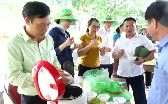 Con Cuông tổ chức hội thảo đầu bờ giống lúa thuần chất lượng cao.