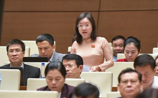Đại biểu Thái Thị An Chung: Tạo điều kiện mở rộng đối tượng hành nghề và chất lượng đấu giá viên
