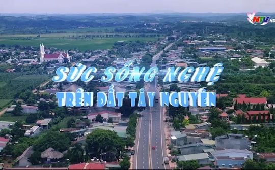 Sức sống Nghệ trên đất Tây Nguyên