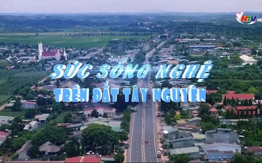Sức sống Nghệ trên đất Tây Nguyên