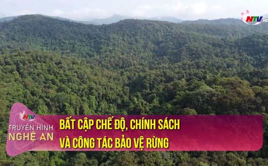 Bất cập chế độ, chính sách và công tác bảo vệ rừng