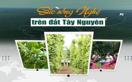 Sức sống Nghệ trên đất Tây Nguyên
