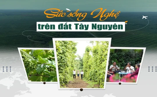 Sức sống Nghệ trên đất Tây Nguyên