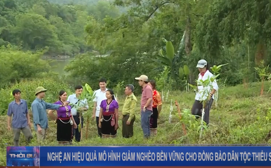 Nghệ An - Hiệu quả mô hình giảm nghèo bền vững cho đồng bào dân tộc thiểu số