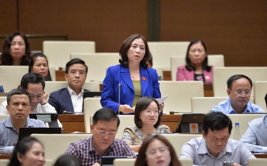 Đại biểu Hoàng Thị Thu Hiền: Đề xuất bổ sung chỉ tiêu quản lý người nghiện, người sử dụng trái phép chất ma túy vào Chương trình mục tiêu quốc gia