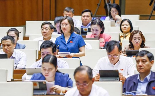Đại biểu Thái Thị An Chung: Cân nhắc việc tăng mức xử phạt vi phạm trong lĩnh vực kiểm toán độc lập