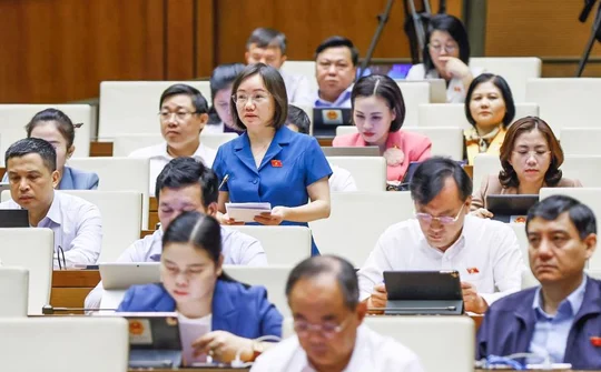 Đại biểu Thái Thị An Chung: Cân nhắc việc tăng mức xử phạt vi phạm trong lĩnh vực kiểm toán độc lập