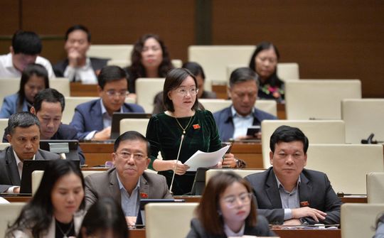 Đại biểu Thái Thị An Chung: Đồng tình xã hội hóa hoạt động xây dựng, phổ biến, áp dụng tiêu chuẩn