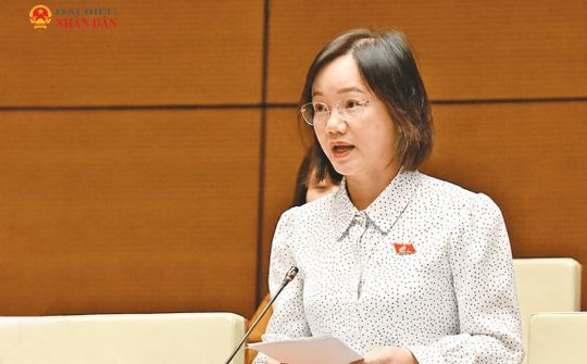ĐBQH Thái Thị An Chung: Bảo đảm bồi thường kịp thời, đầy đủ, sát thực tế thiệt hại
