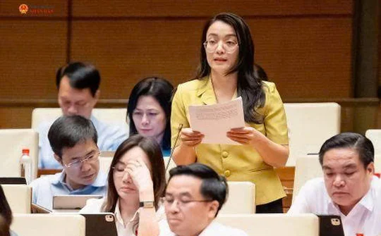 ĐBQH Hoàng Thị Thu Trang: Làm rõ giới hạn áp dụng luật chuyên ngành trong bồi thường nhà nước