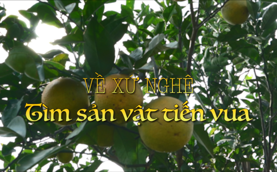 Về xứ Nghệ tìm sản vật tiến vua